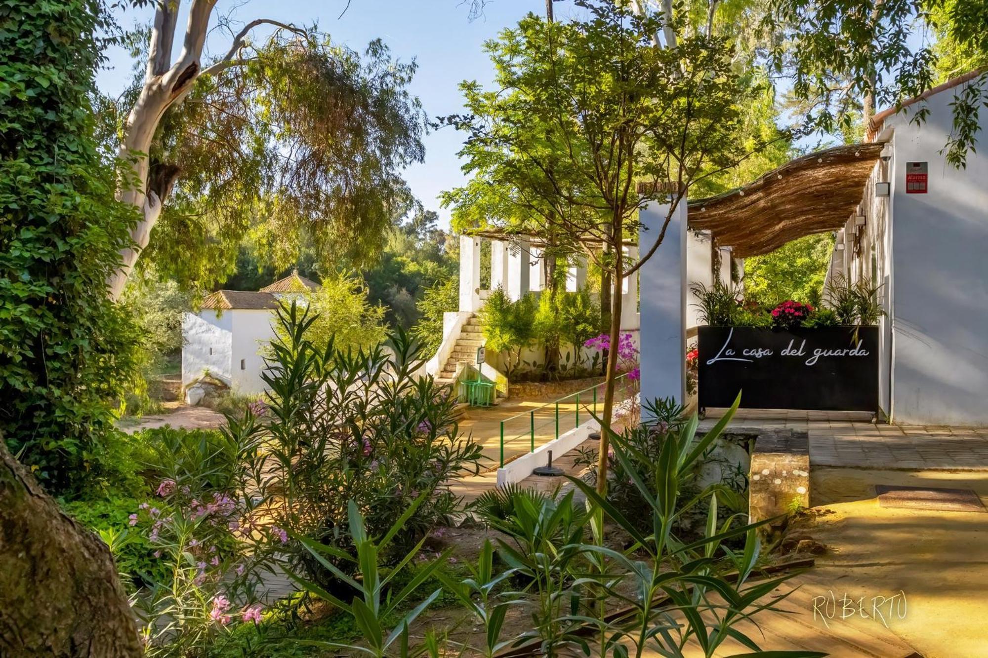 Apartamento Nuevo Centrico Con Aparcamiento Privado Incluido 알칼라데과다이라 외부 사진